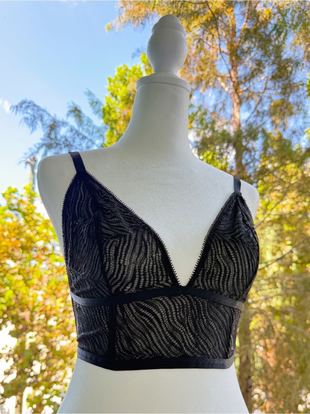 Victoria's Secret corset / bra